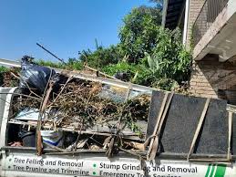 Trusted Maple Grove, MN Junk Removal Experts